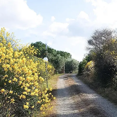 Casa de Férias La Masseria